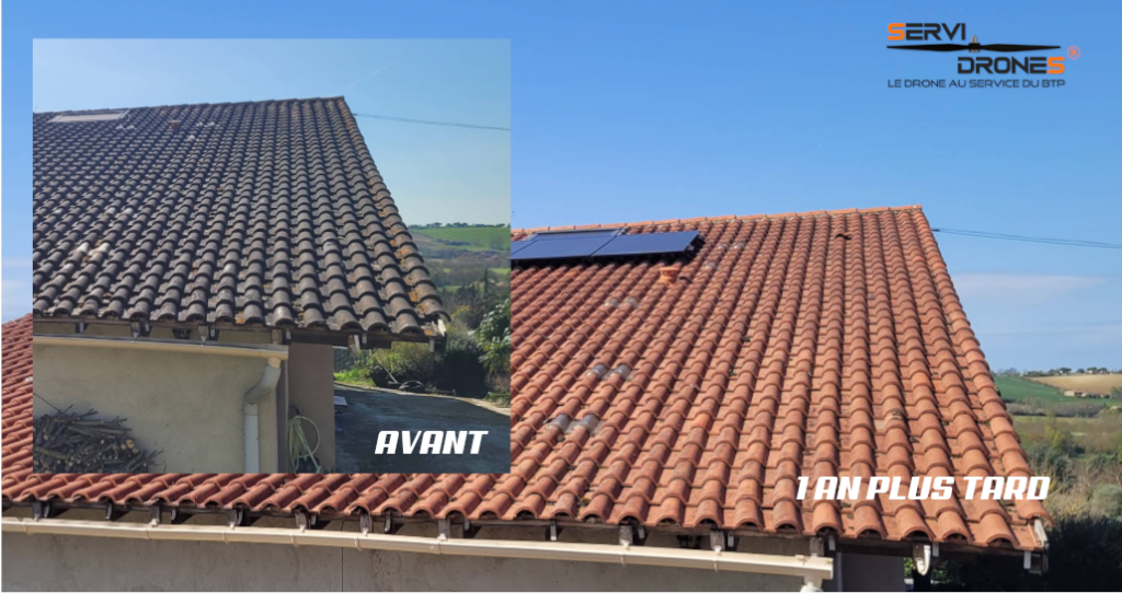 Avant-Après-démoussage